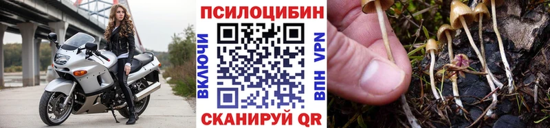 Галлюциногенные грибы мухоморы  Лермонтов 